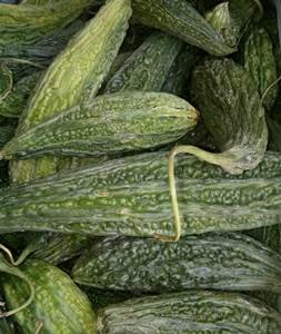 Read more about the article करेला bitter gourd