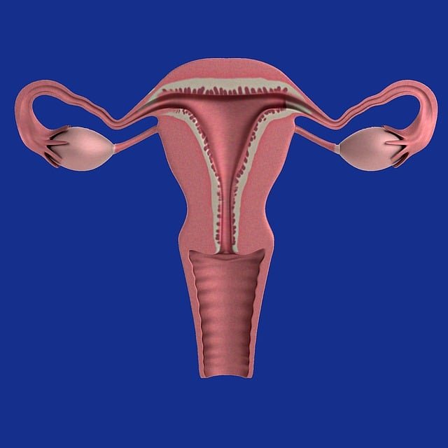 You are currently viewing cyst on ovary symptoms and causes